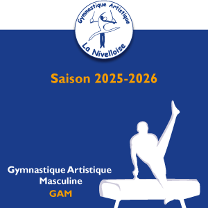 Illustration d'un gymnaste au cheval d'arçon en Gymnastique artistique masculine.